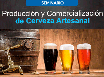 Producción y Comercialización de Cerveza Artesanal