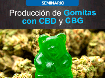 Producción de Gomitas con CBD y CBG